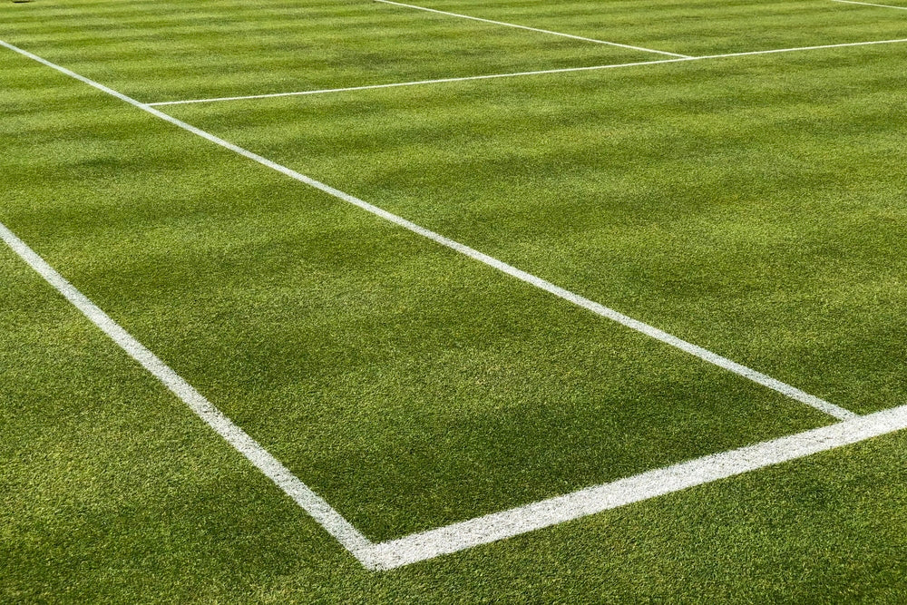 grass tennis court wimbledon